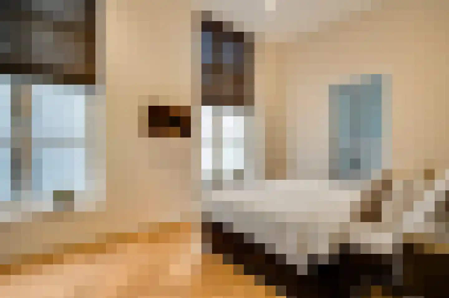 Pollartstraat 3 A Roermond thumbnail 20