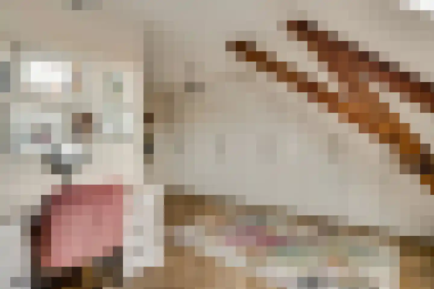 Pollartstraat 3 A Roermond thumbnail 25