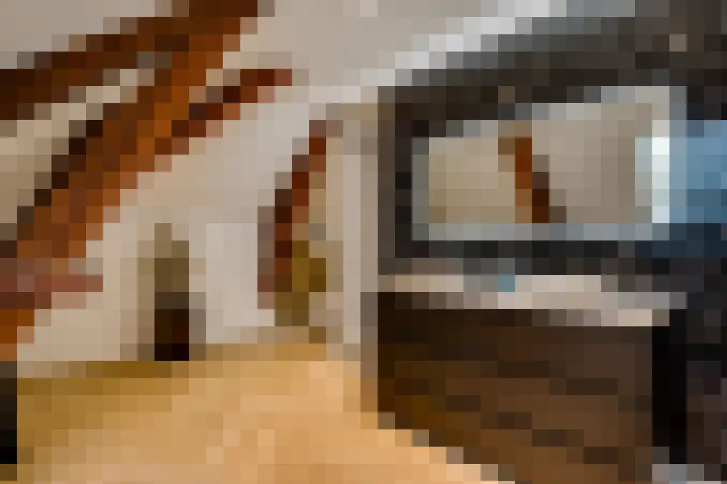 Pollartstraat 3 A Roermond thumbnail 27