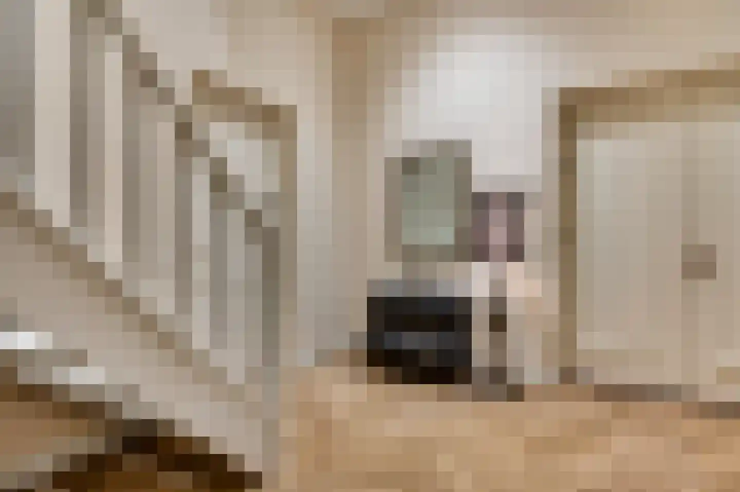 Pollartstraat 3 A Roermond thumbnail 8