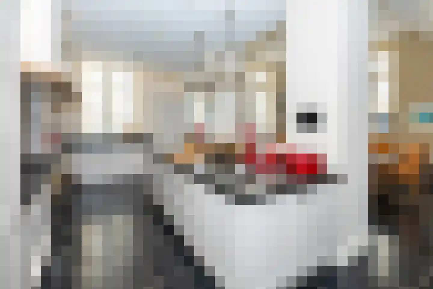Pollartstraat 5 Roermond thumbnail 15