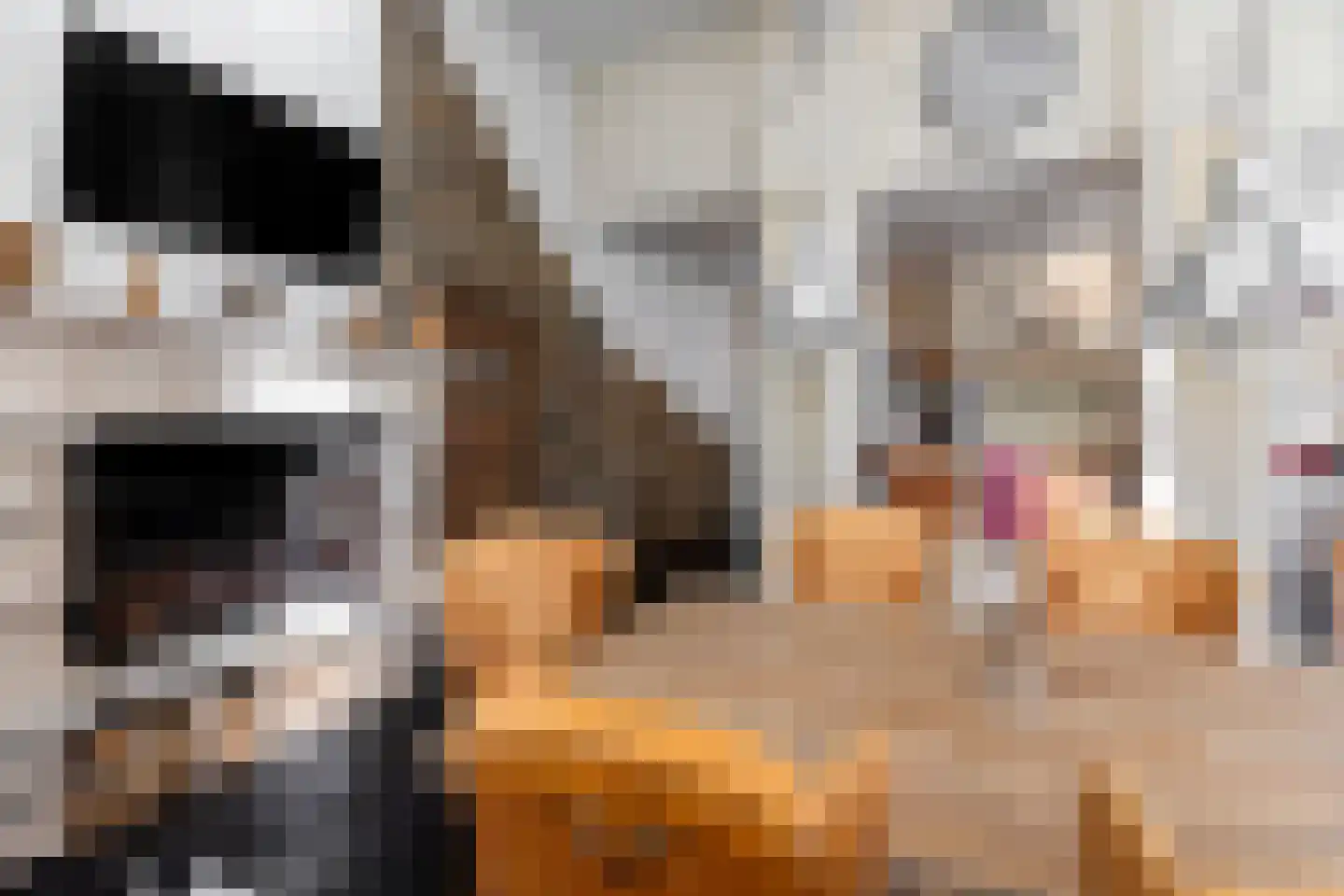 Pollartstraat 5 Roermond thumbnail 22