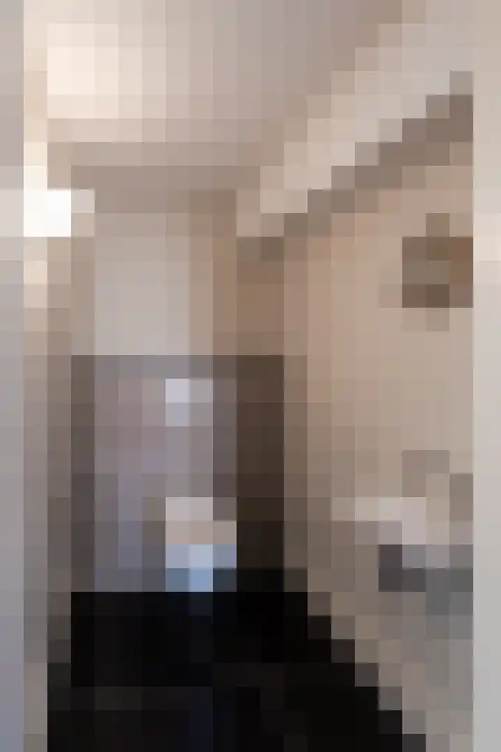Pollartstraat 5 Roermond thumbnail 27