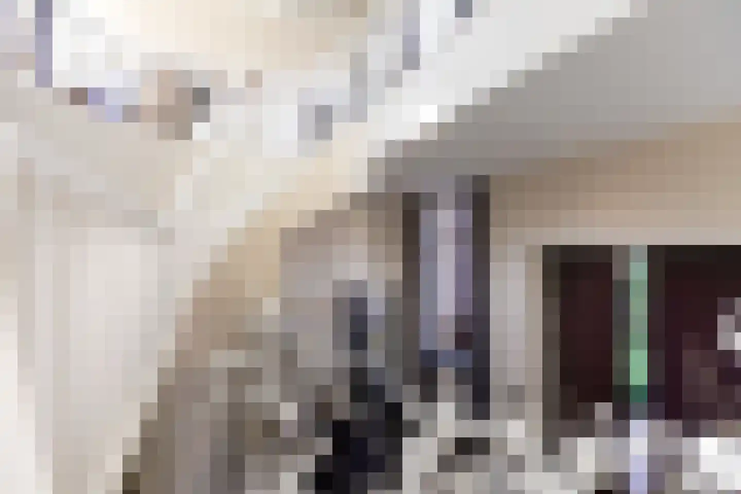 Pollartstraat 5 Roermond thumbnail 33