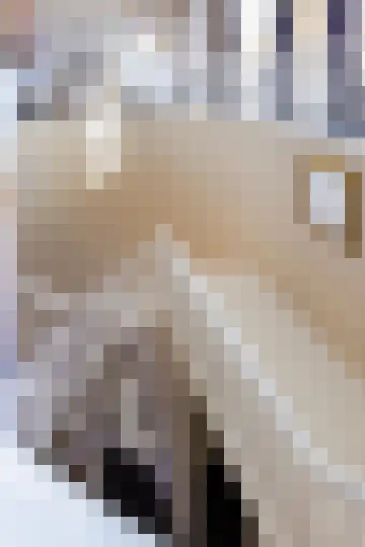 Pollartstraat 5 Roermond thumbnail 34