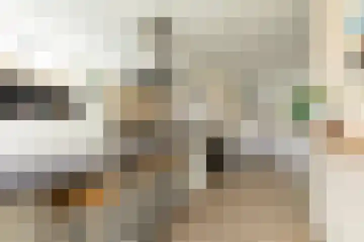 Polle 14 Arum thumbnail 14