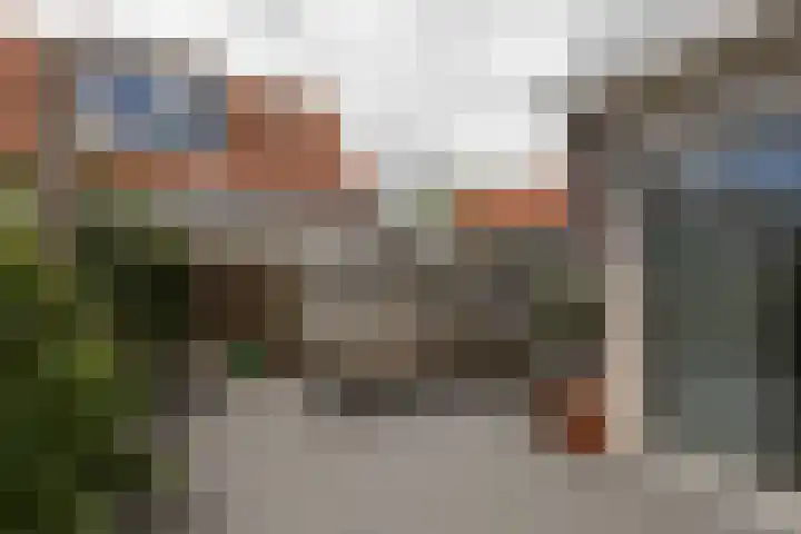 Polle 14 Arum thumbnail 37