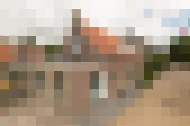 Polle 14 Arum thumbnail 4