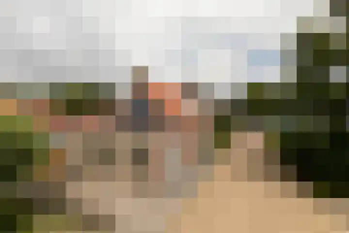 Polle 14 Arum thumbnail 42