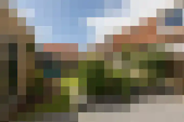 Polle 14 Arum thumbnail 5
