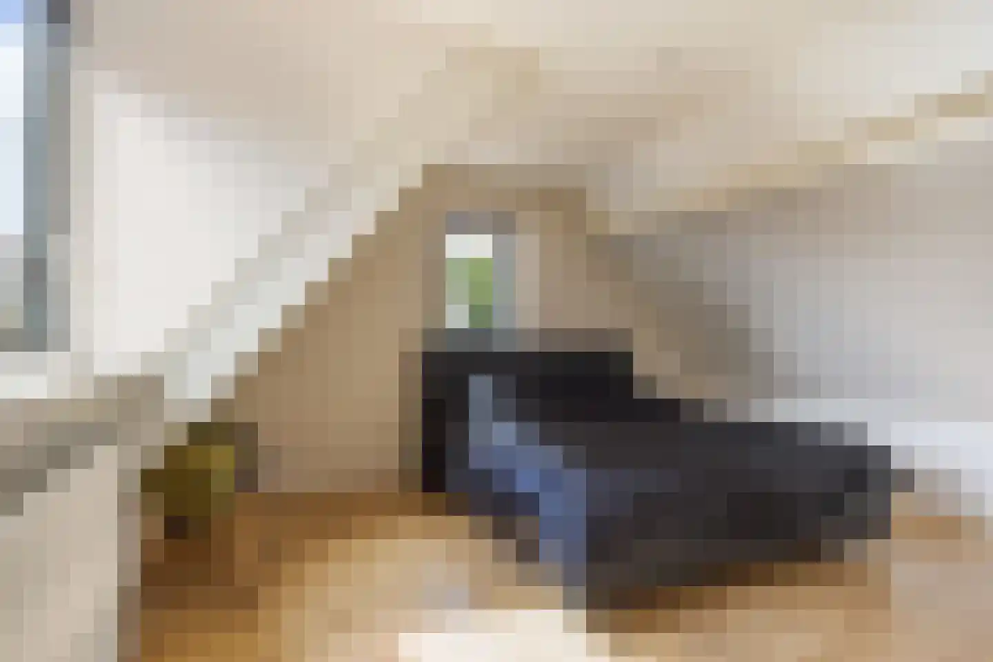Polle 26 Arum thumbnail 22