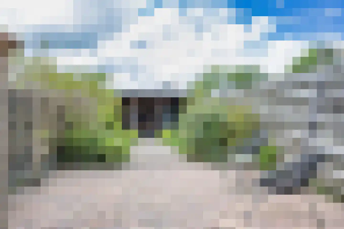 Polle 26 Arum thumbnail 32