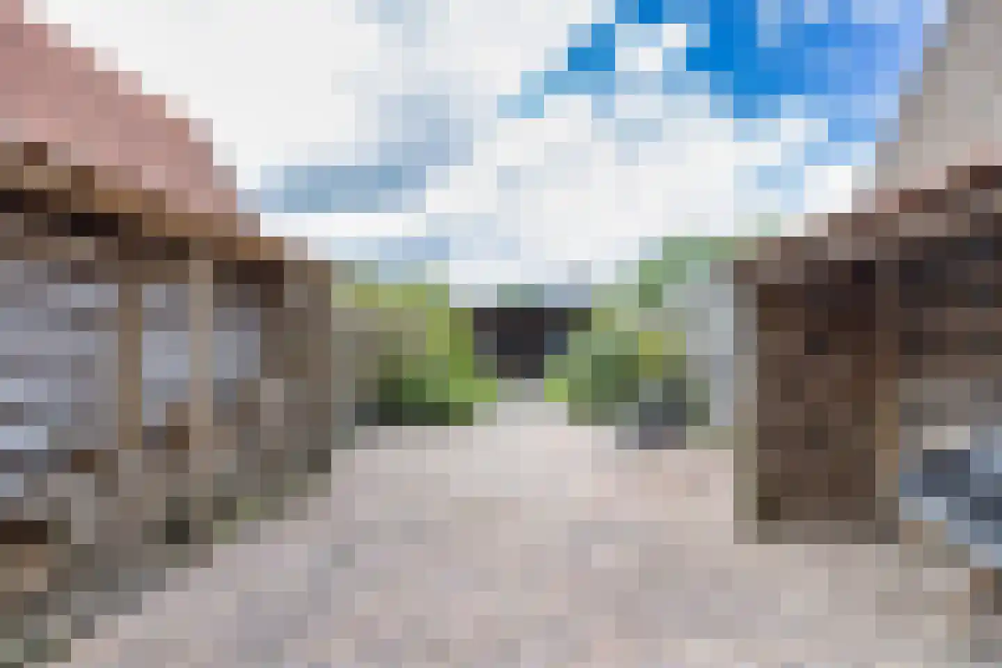 Polle 26 Arum thumbnail 33