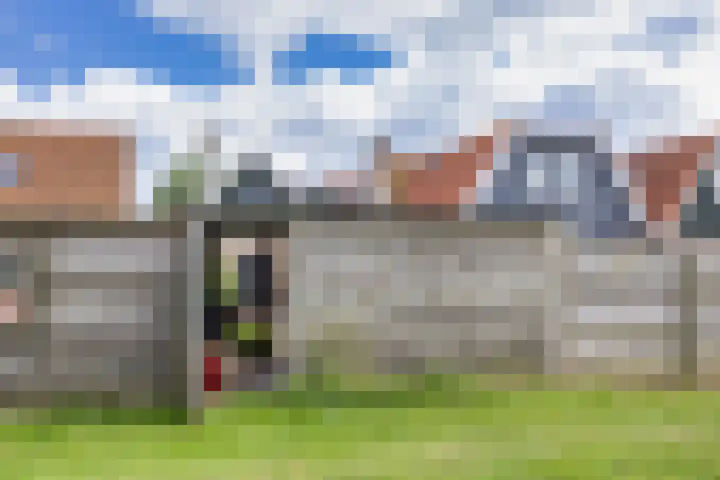 Polle 26 Arum thumbnail 36