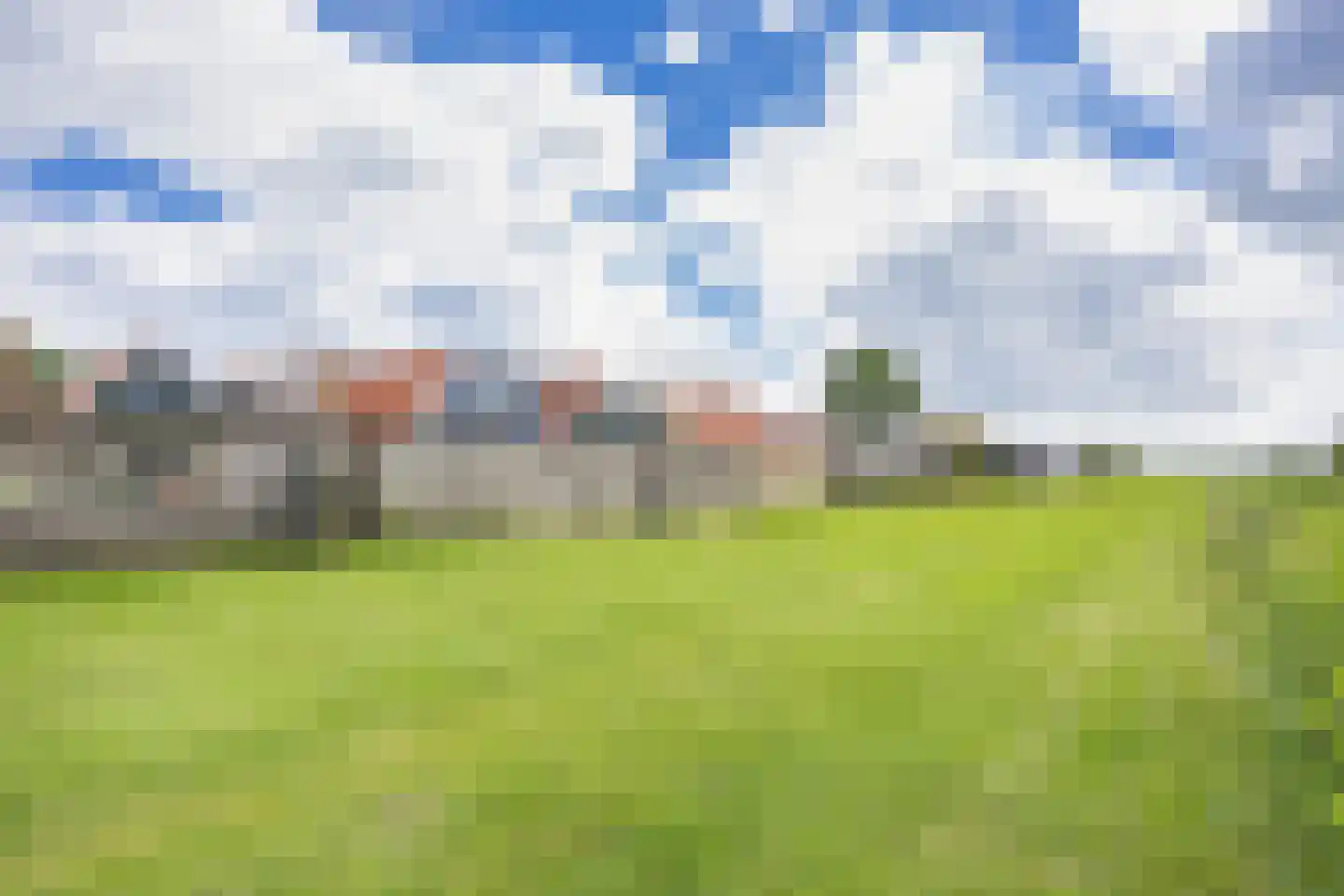 Polle 26 Arum thumbnail 37