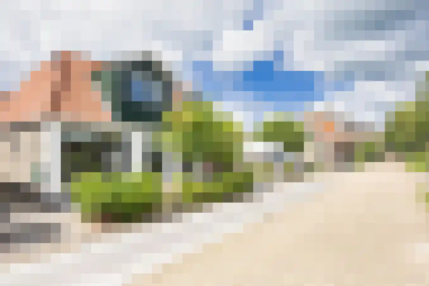 Polle 26 Arum thumbnail 4