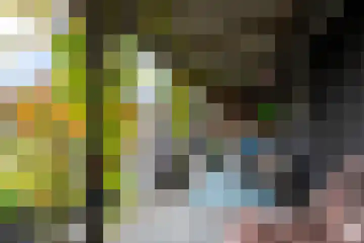 Polle 44 Arum thumbnail 22