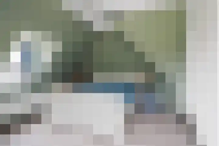 Polle 44 Arum thumbnail 29