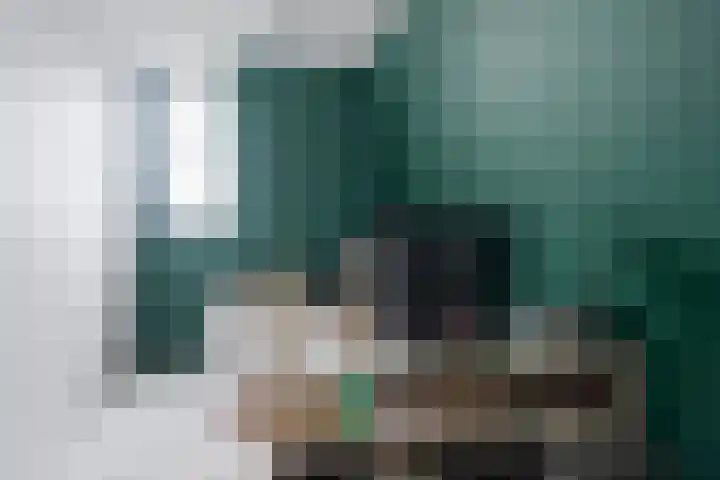 Polle 44 Arum thumbnail 33