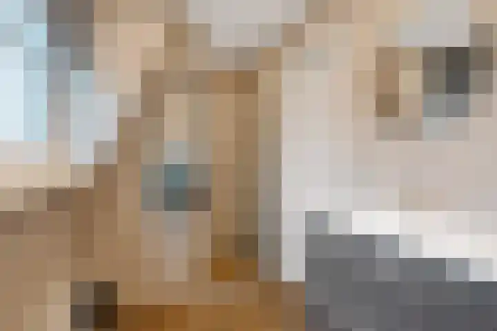 Polle 44 Arum thumbnail 36