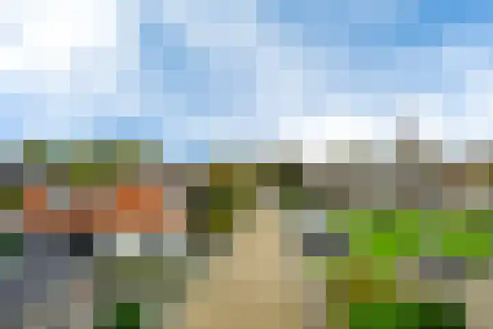 Polle 44 Arum thumbnail 41
