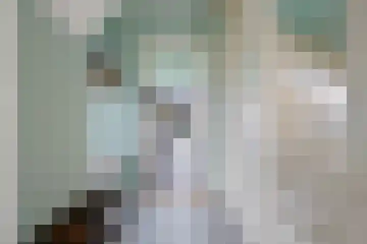 Polle 44 Arum thumbnail 9