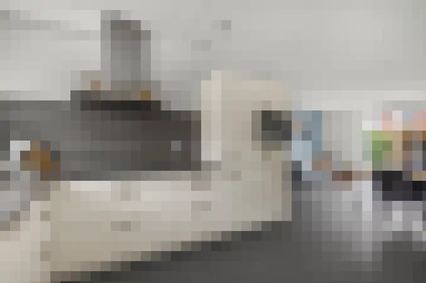 Pollekamp 24 Ede thumbnail 10