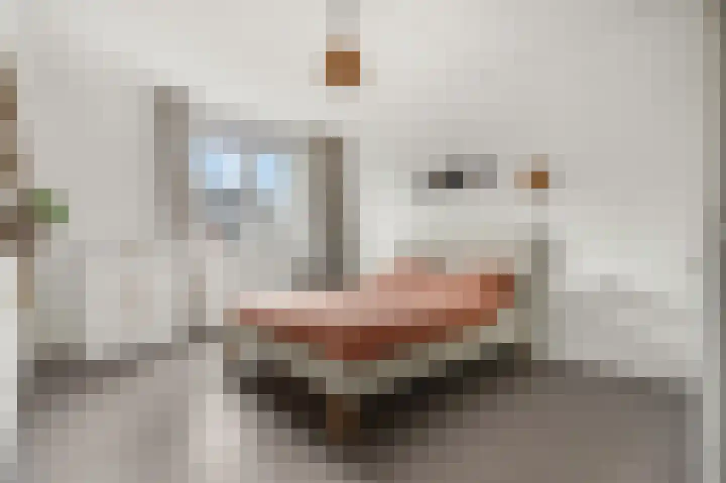 Pollekamp 24 Ede thumbnail 16