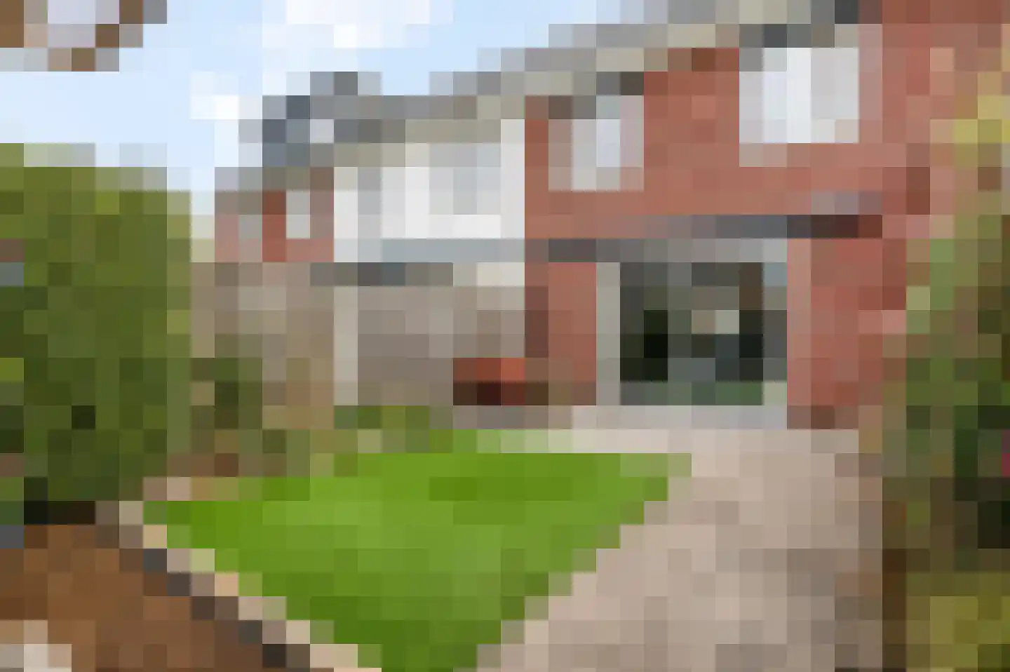 Pollekamp 24 Ede thumbnail 35