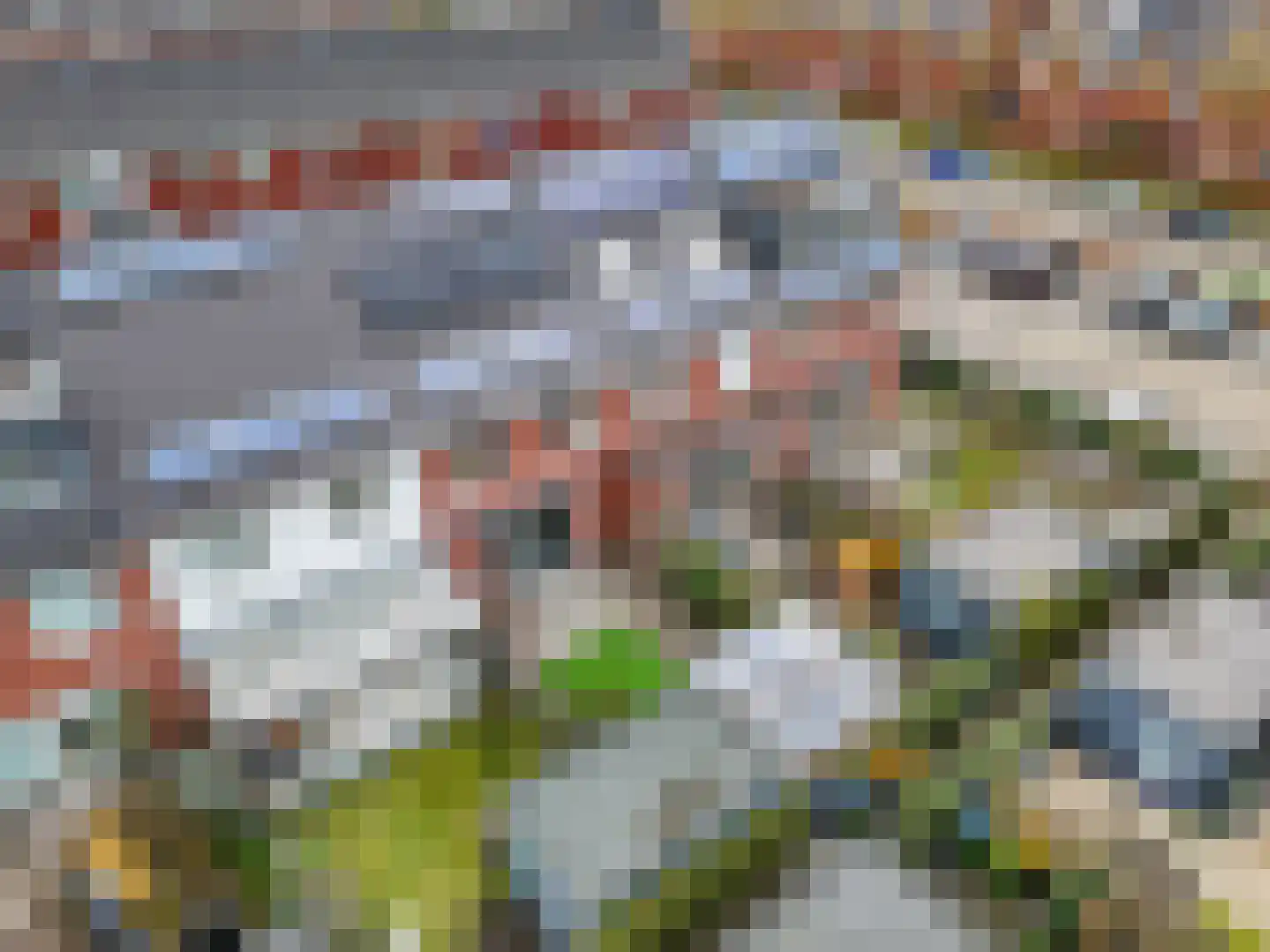 Pollekamp 24 Ede thumbnail 42