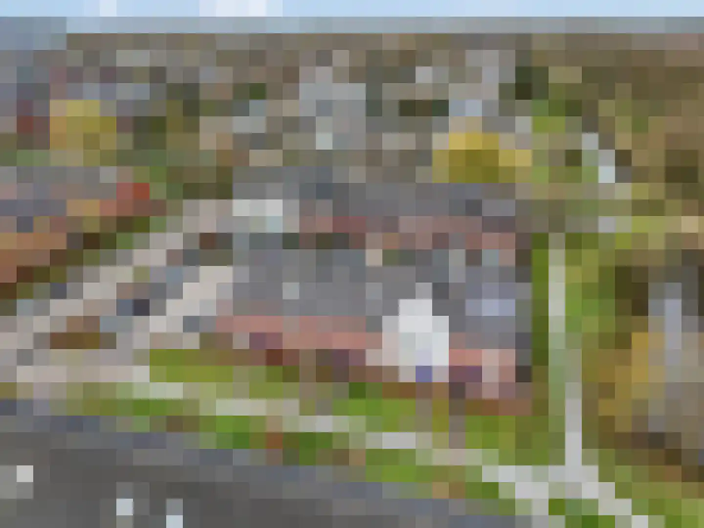 Pollekamp 24 Ede thumbnail 44