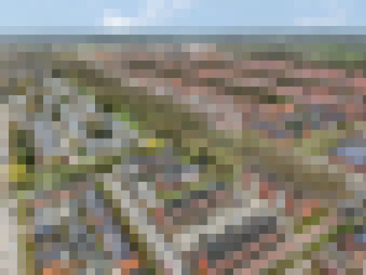 Pollekamp 24 Ede thumbnail 46