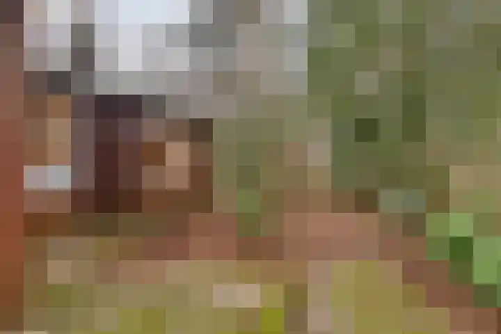 Pollenseweg 16 Emst thumbnail 18