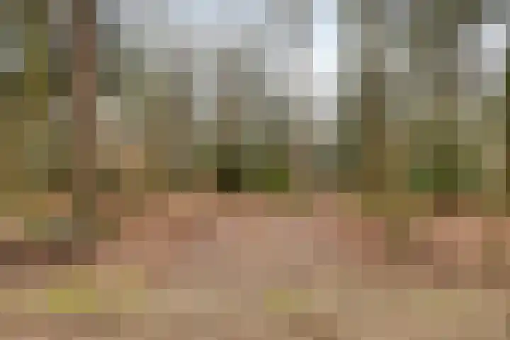 Pollenseweg 16 Emst thumbnail 5