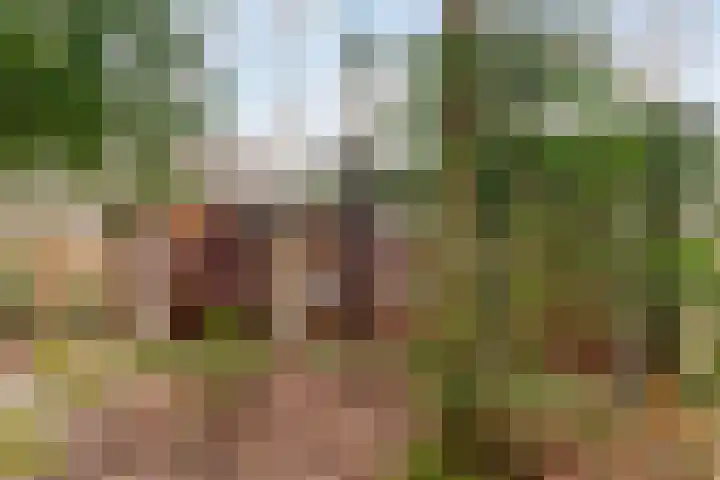 Pollenseweg 16 Emst thumbnail 6