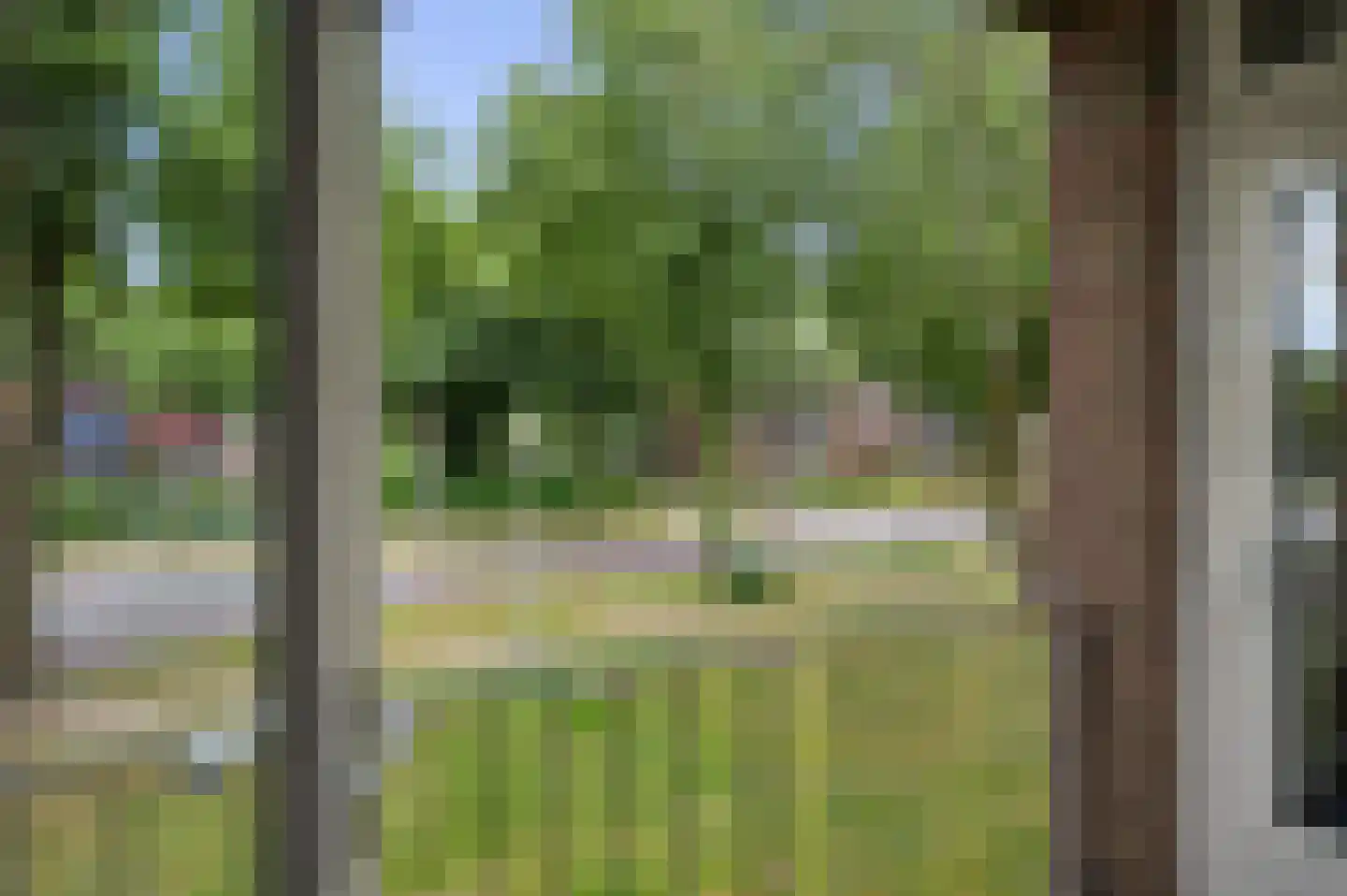 Pollenstein 14 Ede thumbnail 19