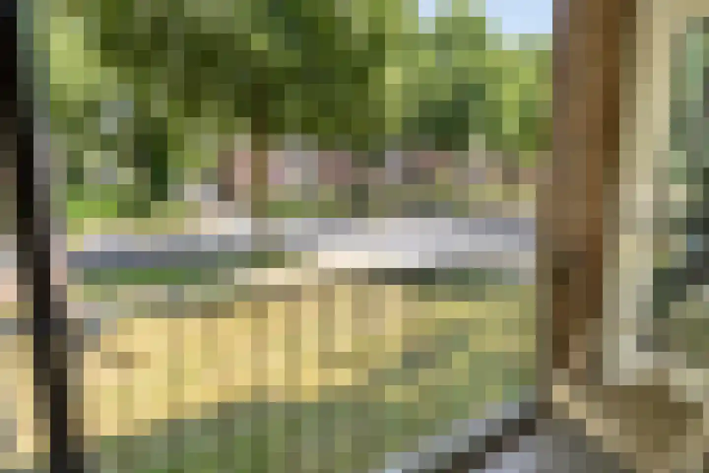 Pollenstein 2 Ede thumbnail 16