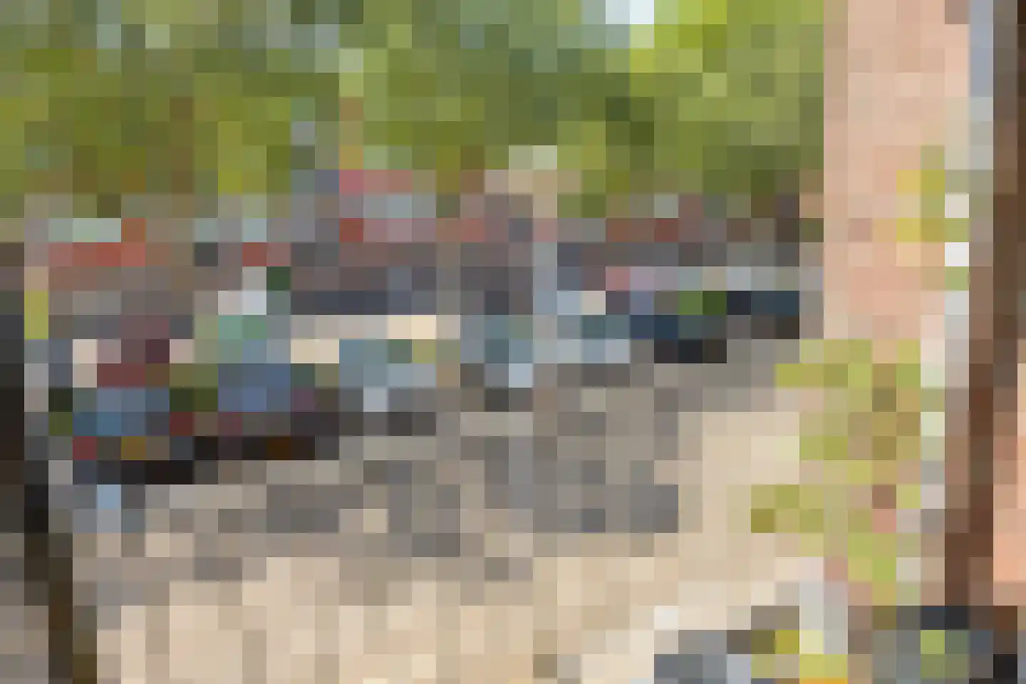 Pollenstein 2 Ede thumbnail 17