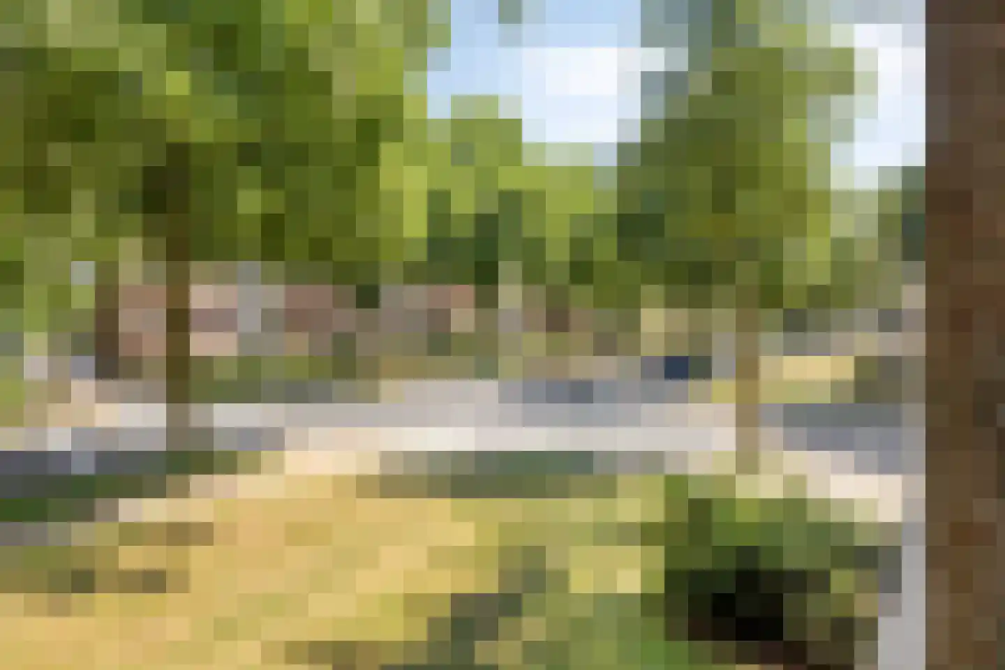 Pollenstein 2 Ede thumbnail 20
