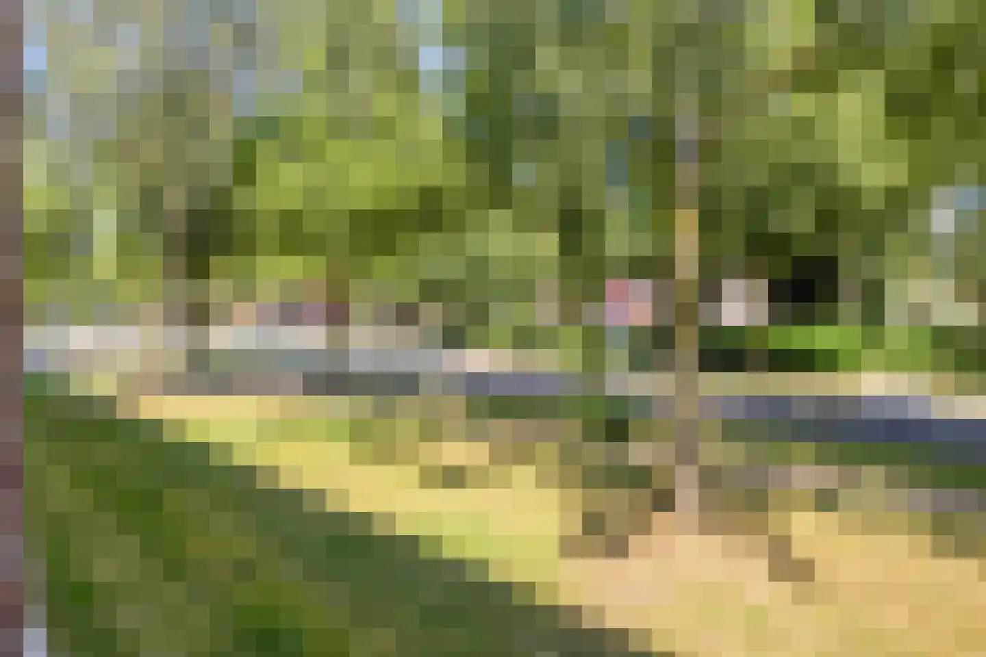 Pollenstein 2 Ede thumbnail 21