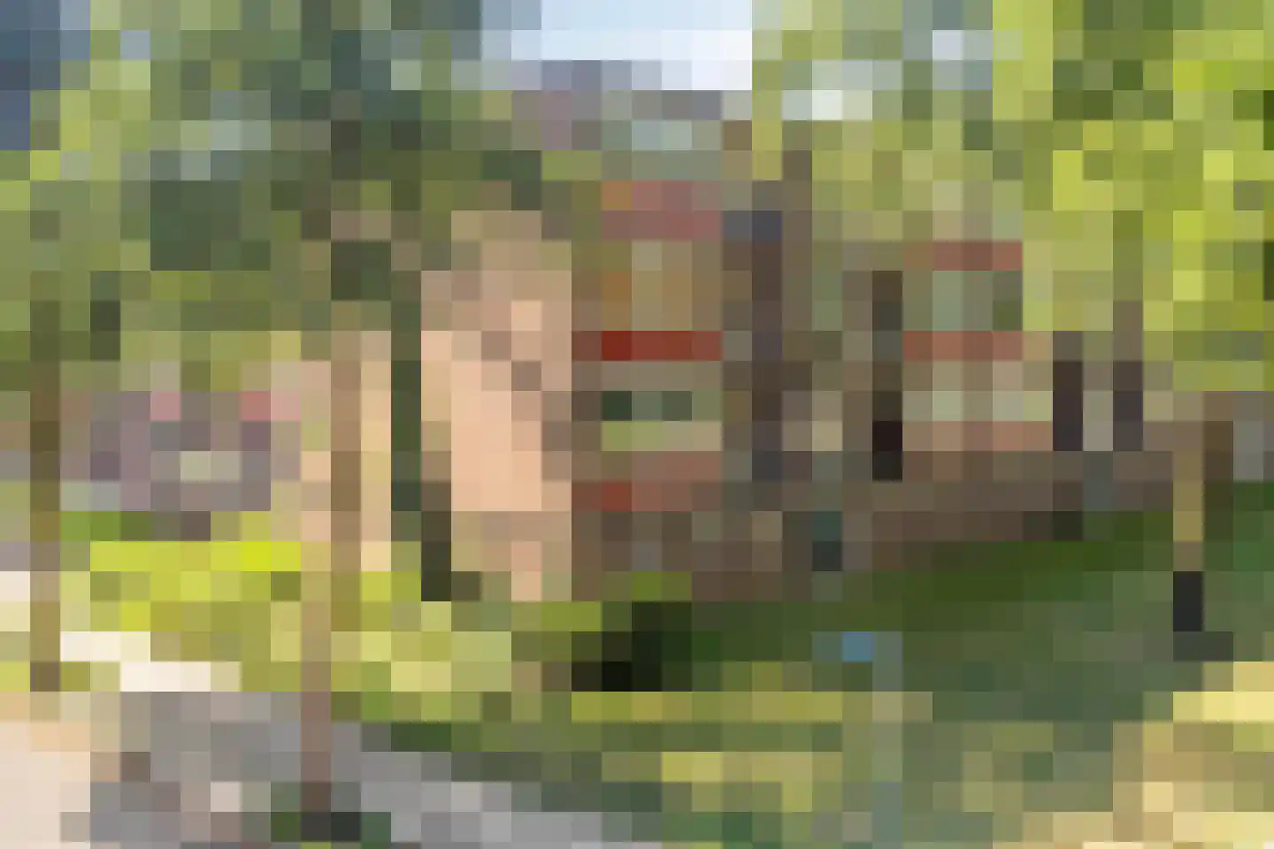 Pollenstein 2 Ede thumbnail 22