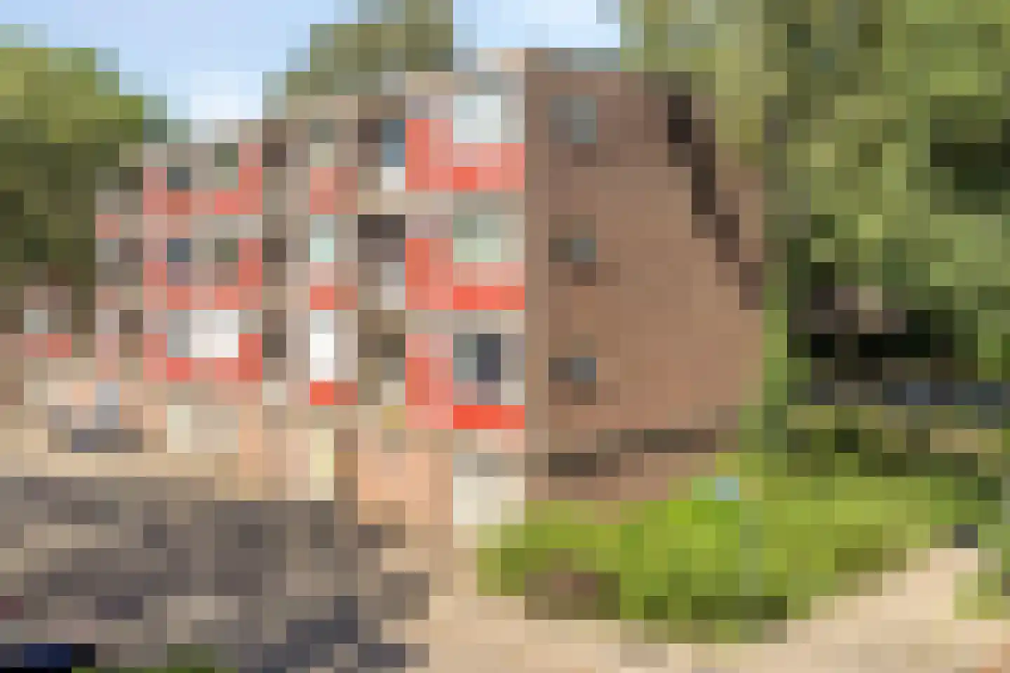 Pollenstein 2 Ede thumbnail 23