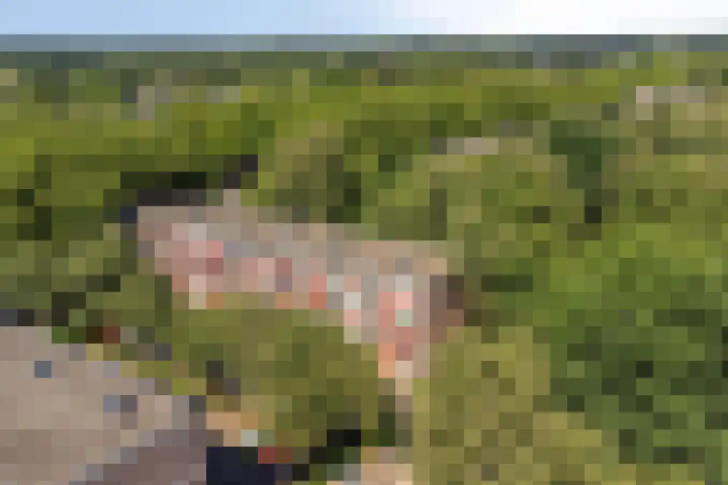 Pollenstein 2 Ede thumbnail 27