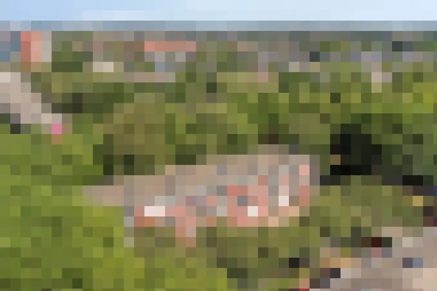 Pollenstein 2 Ede thumbnail 28