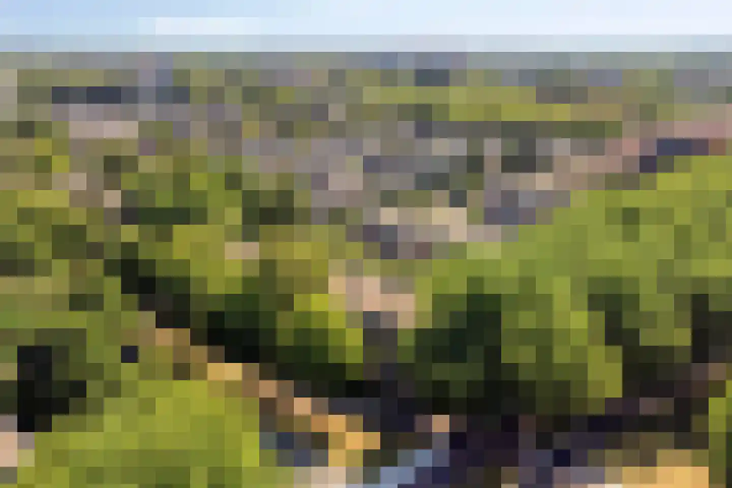 Pollenstein 2 Ede thumbnail 29
