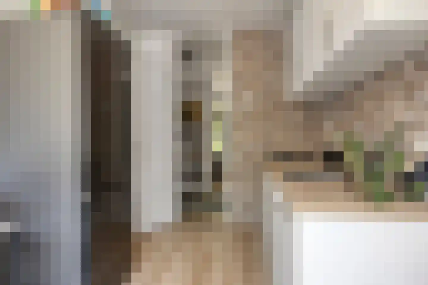 Pollenstein 2 Ede thumbnail 6