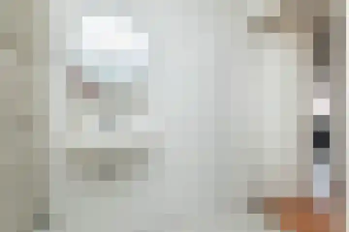Pollux 1 Hoogeveen thumbnail 30