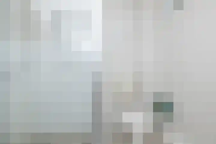 Pollux 1 Hoogeveen thumbnail 31