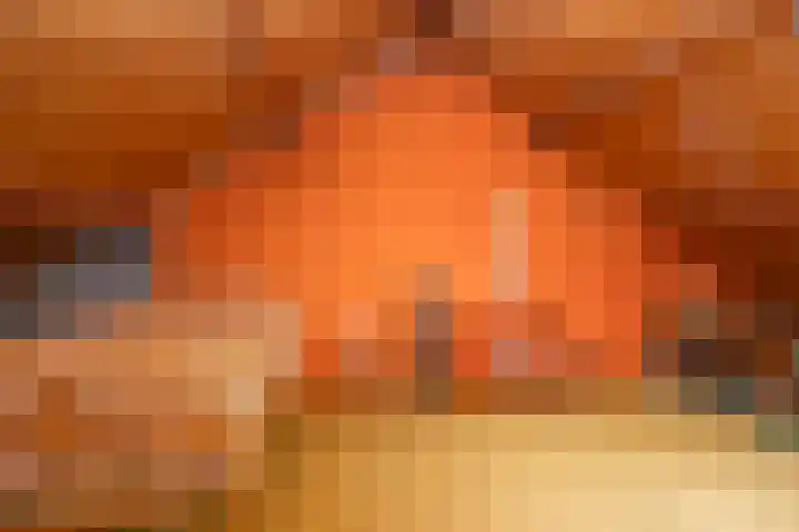 Pollux 1 Hoogeveen thumbnail 35