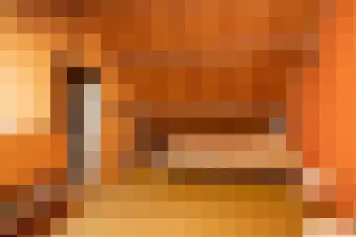 Pollux 1 Hoogeveen thumbnail 36